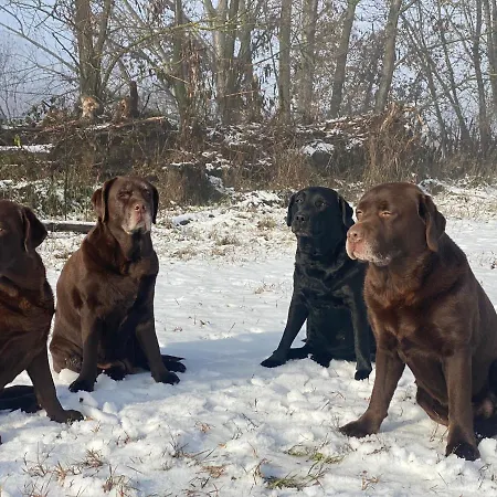 Отель Cinzia Ristorante Christian E Manuel Верчелли