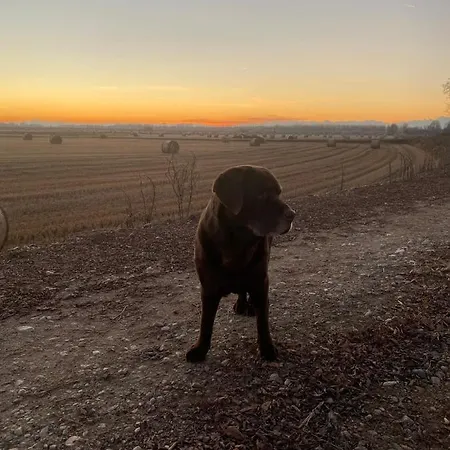 Otel Cinzia Ristorante Christian E Manuel