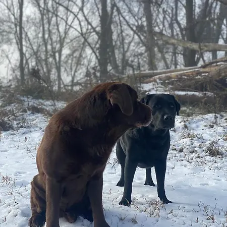 Отель Cinzia Ristorante Christian E Manuel Верчелли