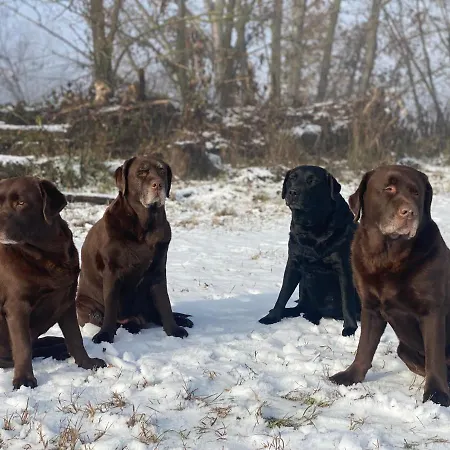 Cinzia Ristorante Christian E Manuel