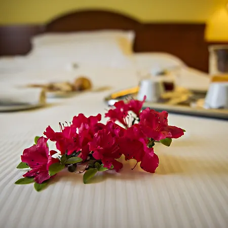 Cinzia Ristorante Christian E Manuel 3* Vercelli